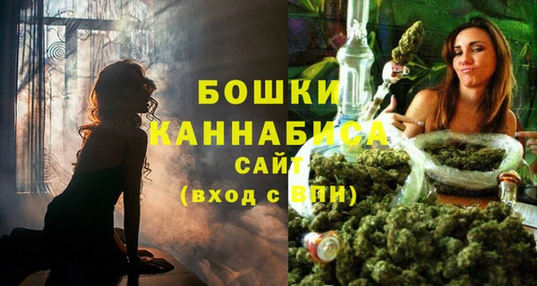 2c-b Богородицк