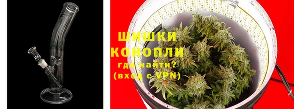 шишки Белоозёрский