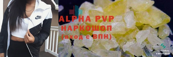 спиды Богданович