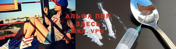 шишки Белоозёрский