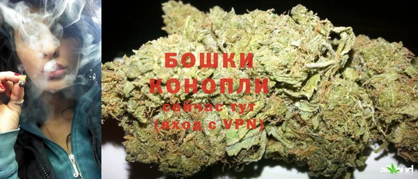 шишки Белоозёрский