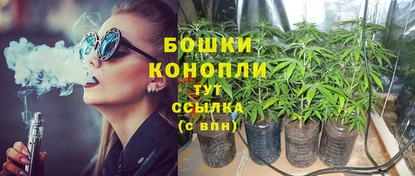 2c-b Богородицк
