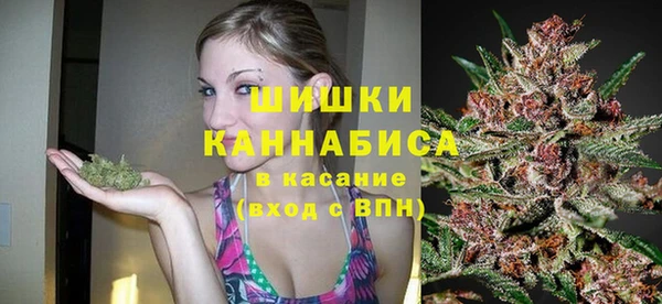 2c-b Богородицк