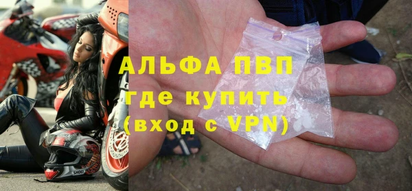 спиды Богданович