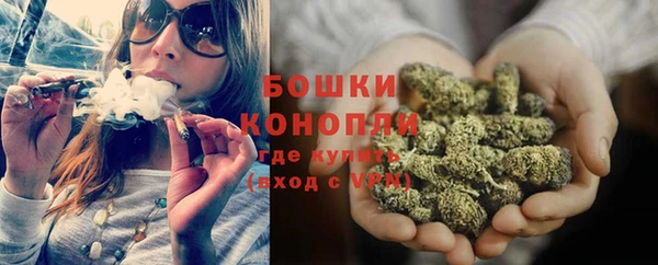 шишки Белоозёрский